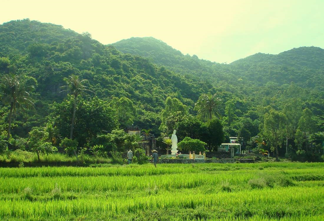 Chùa Hải Tạng - Cù Lao Chàm