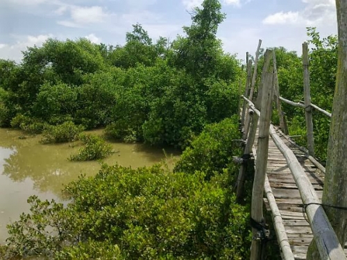 Khu du lịch sinh thái Cồn Đen
