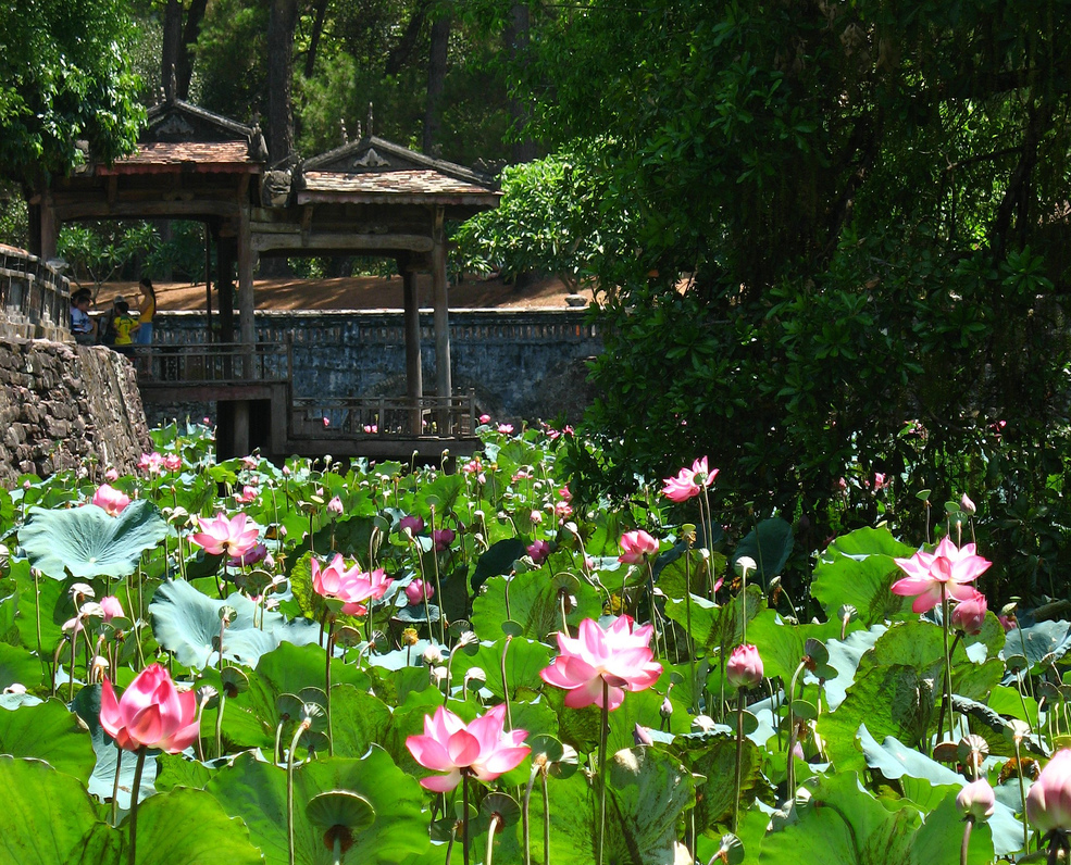 Du lịch Hồ Tịnh Tâm